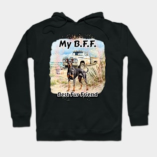 Dog - B.F.F. Doberman Pinscher Hoodie